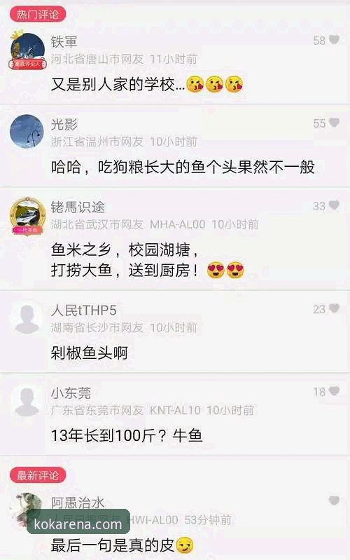 KOK体育使用教程 KOK体育平台使用教程最新动态:v3.2.1版本功能与操作全解析